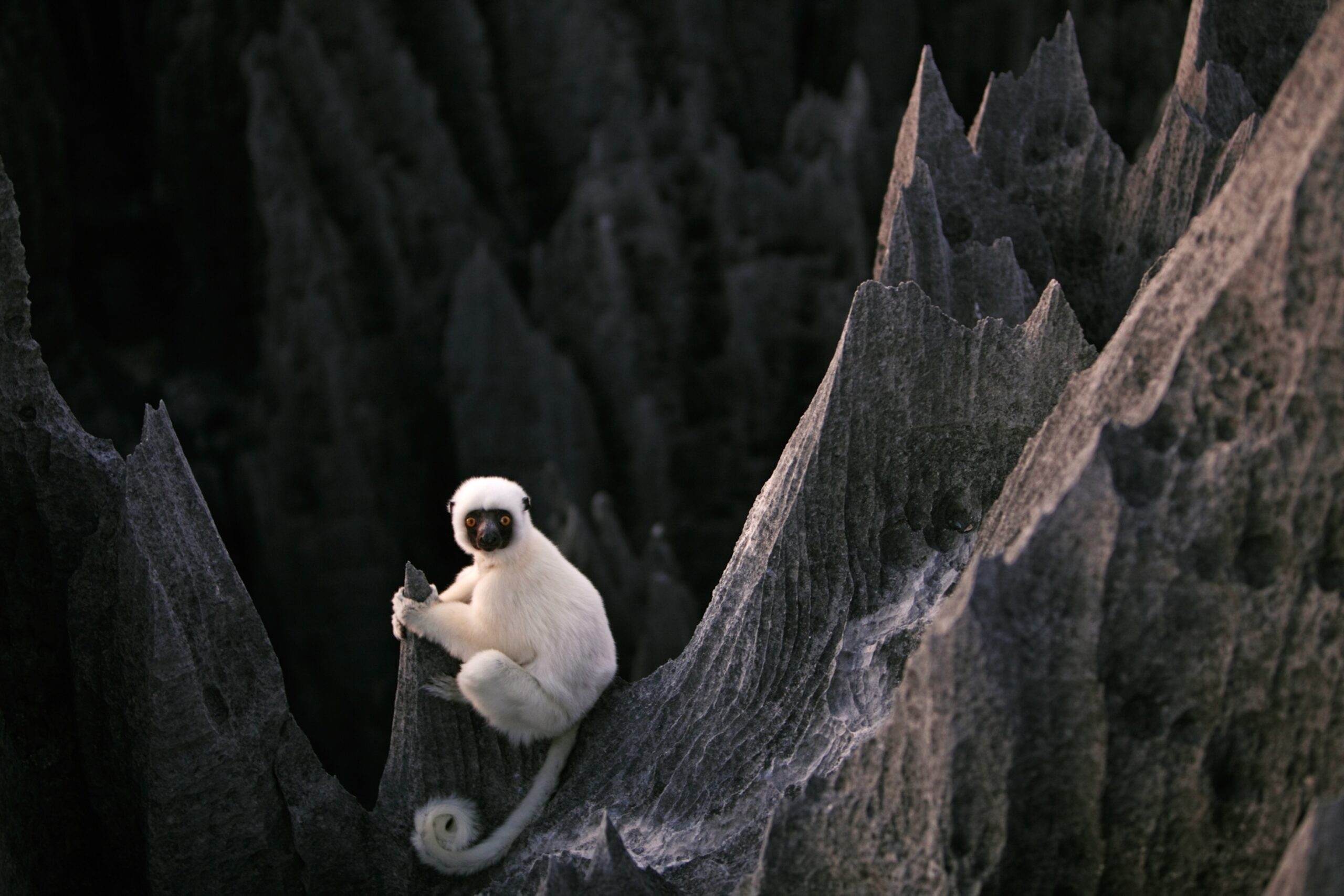 Strange Shelter | Nat Geo Photo of the Day