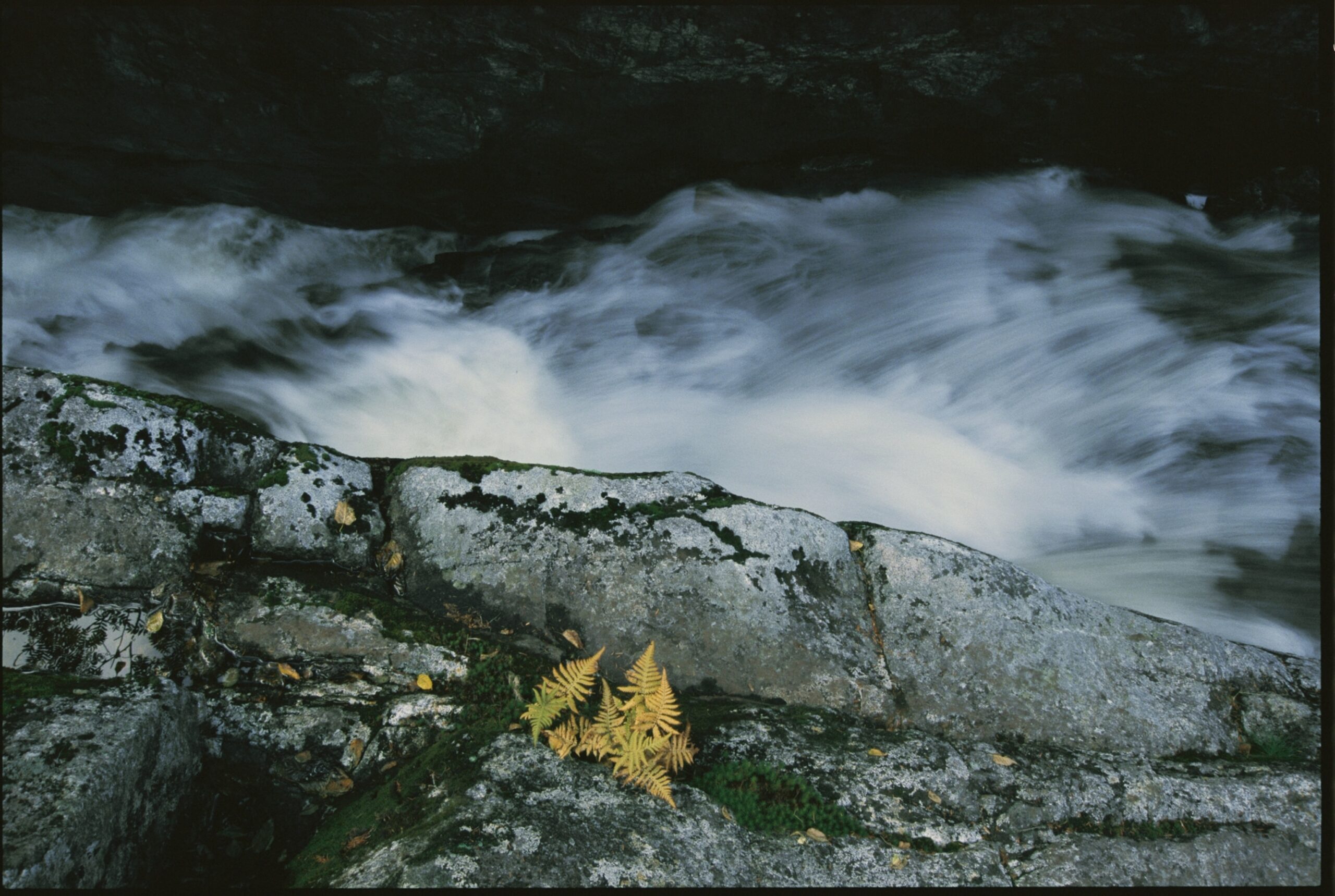 Adirondack High | Nat Geo Photo of the Day