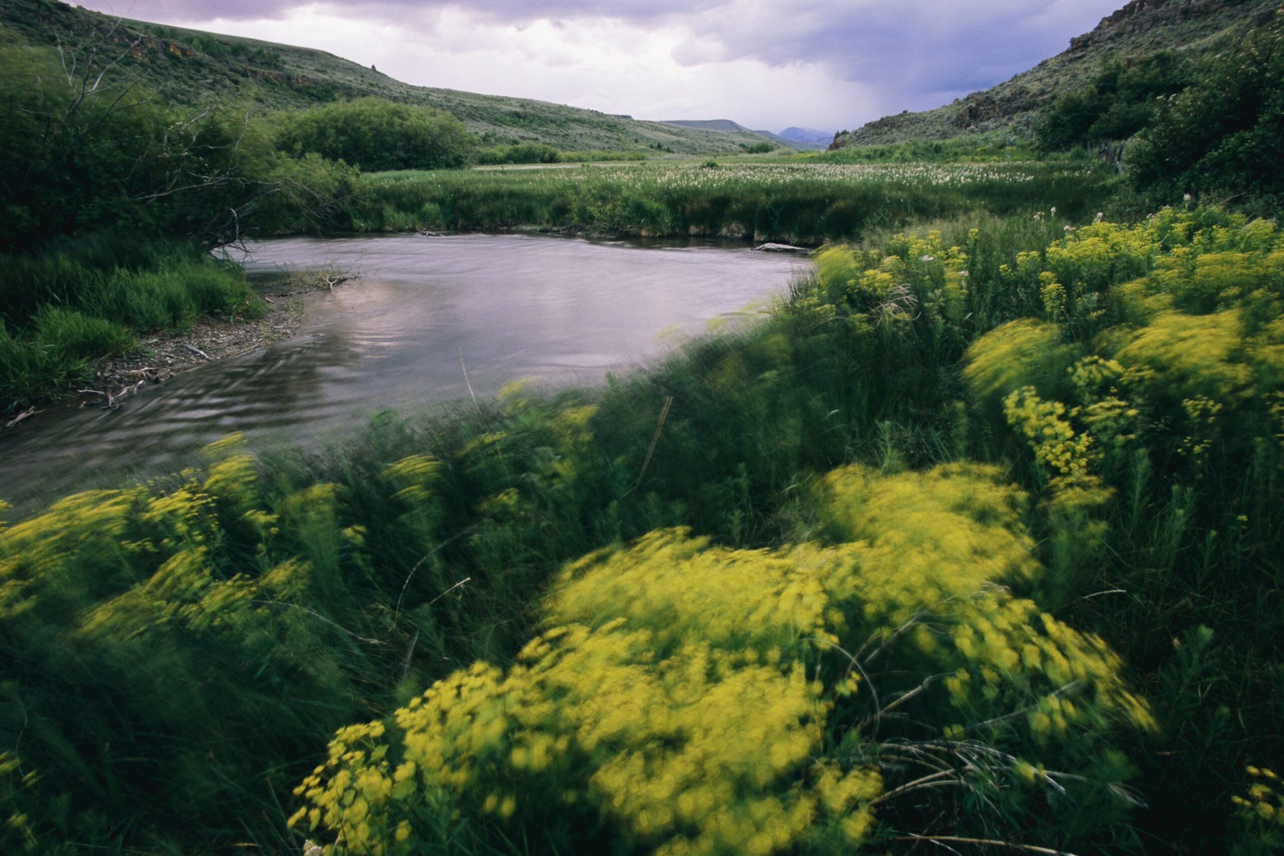 Leafy Creek | Nat Geo Photo of the Day