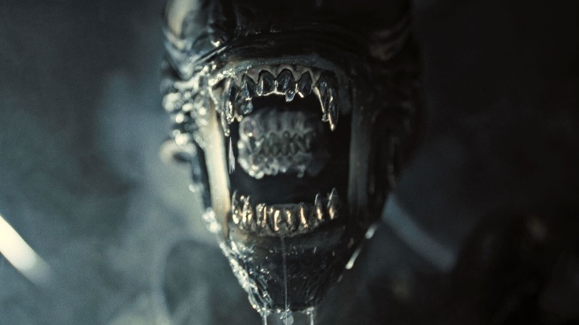 Alien: Romulus Unleashes Best Look at Its Classic Xenomorph Design That Will Make Fans Happy