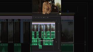 Making Cuts in Premiere Pro with @FilmRiot #shorts #tutorial