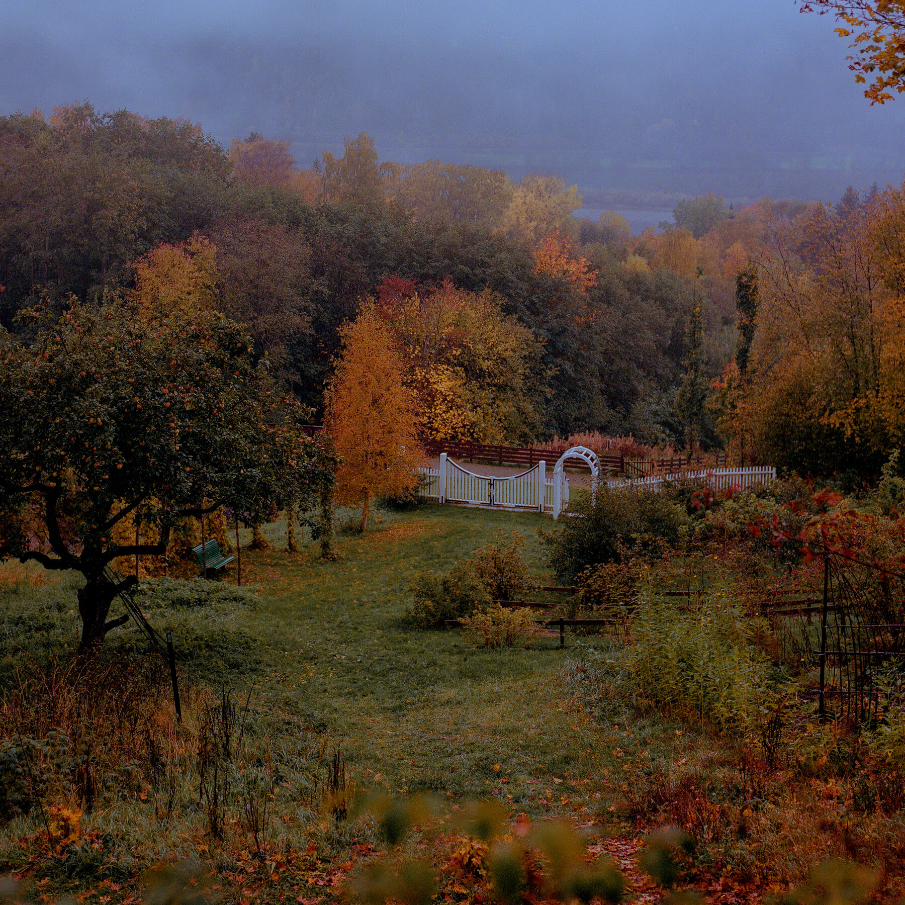 Following Norway’s National Painter Through a Landscape of Mountains and Fjords