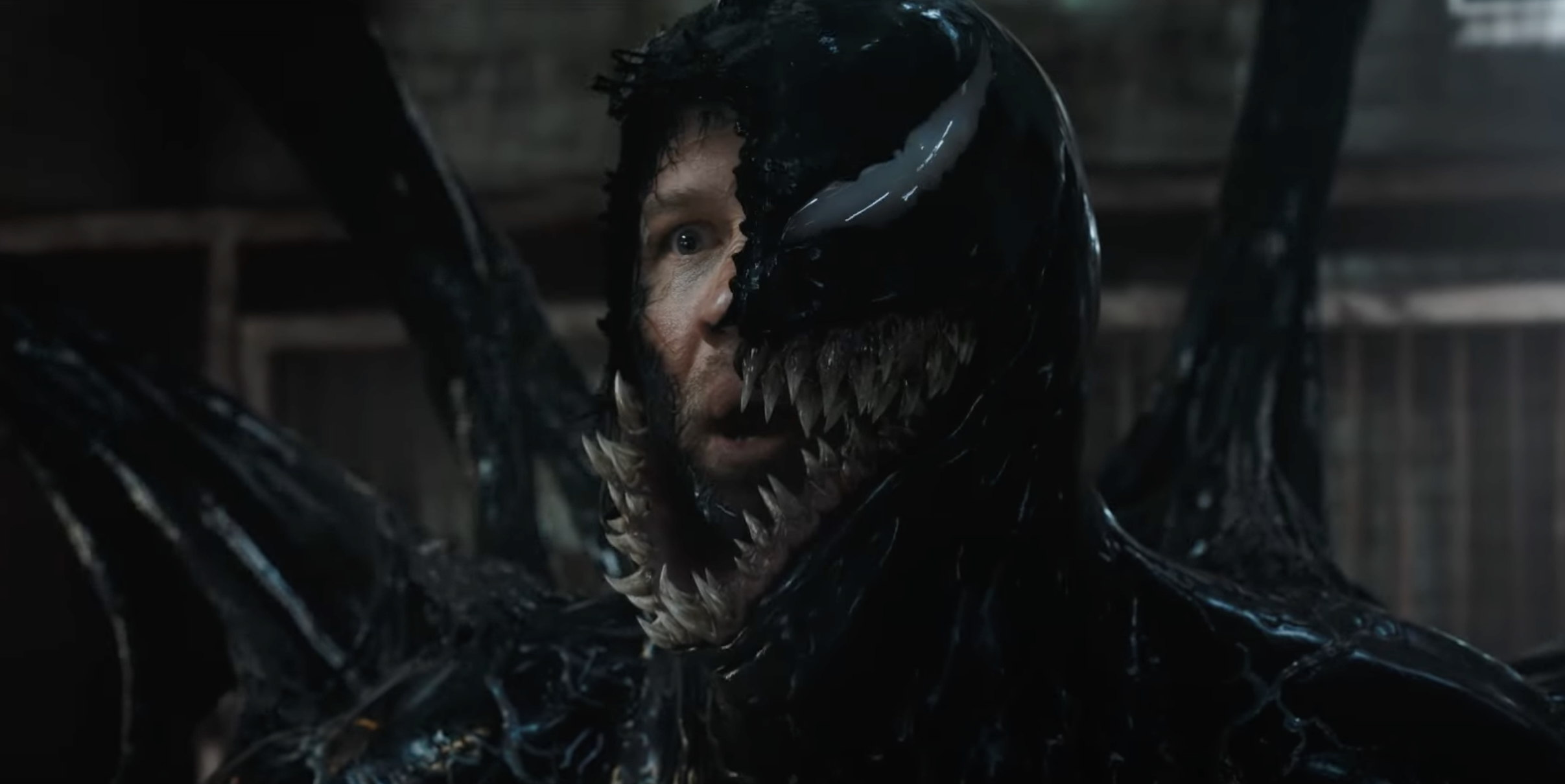 ‘Venom: The Last Dance’ First Reactions Praise Final Movie as a ‘Feast for the Fans’ and the ‘Most Entertaining of the Trilogy’: ‘Tom Hardy Gives Everything’