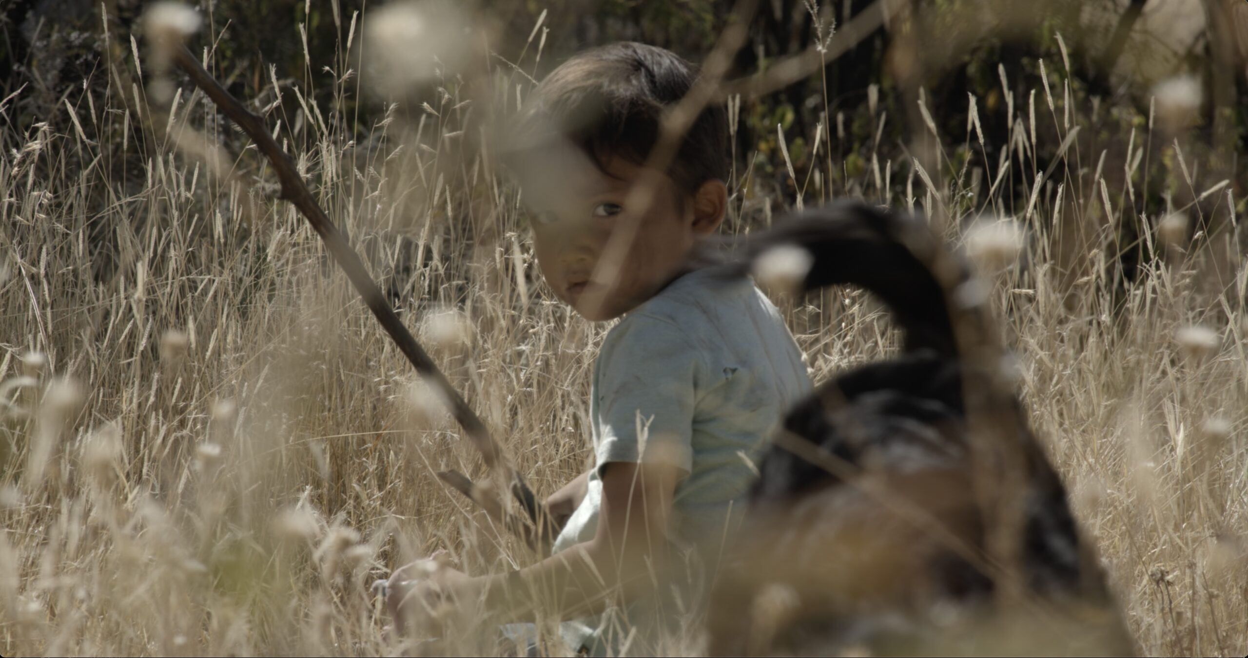 Mexico’s Oscar Entry ‘Sujo’ Makes a Sweep of the Morelia Film Festival