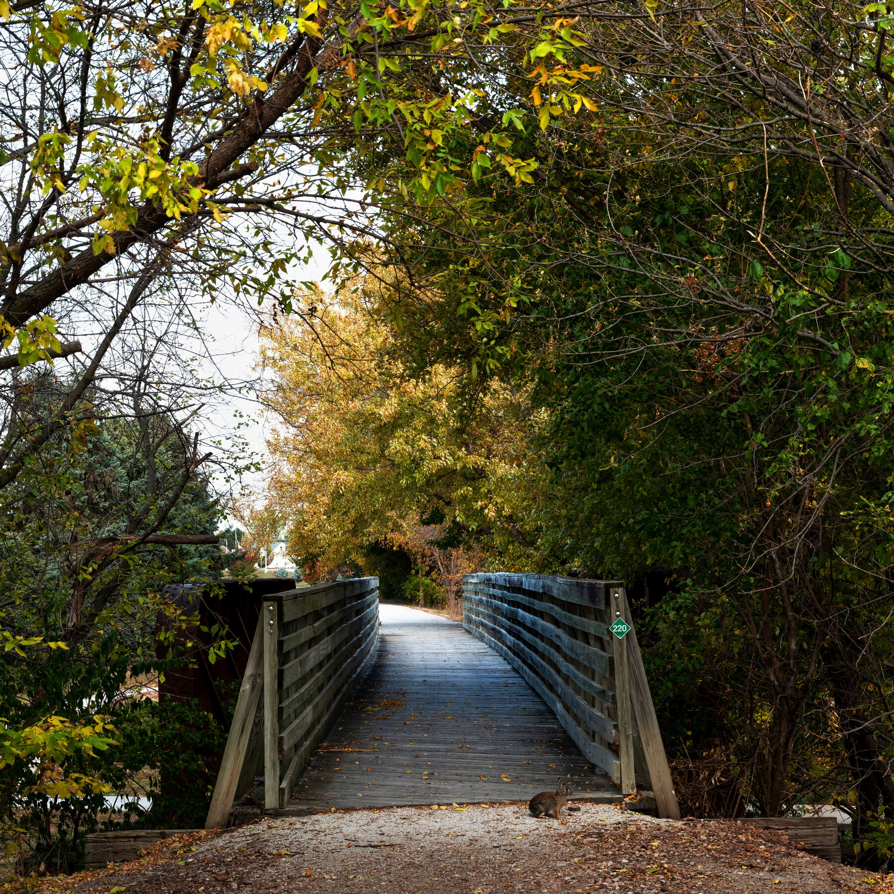 Taking Stock of the Great American Rail Trail