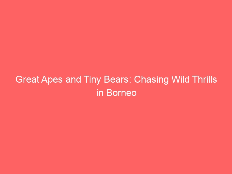 Great Apes and Tiny Bears: Chasing Wild Thrills in Borneo