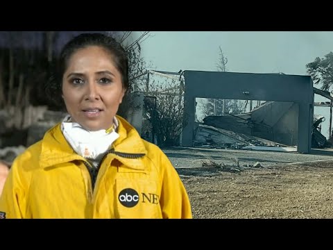 ABC News Reporter Covering LA Fires Reveals Her Home Burned Down