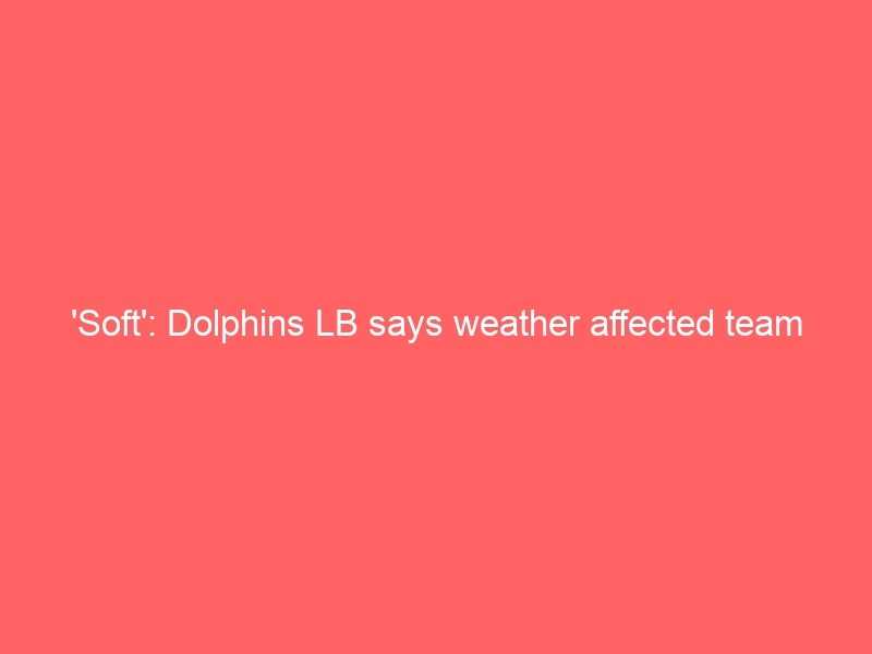 ‘Soft’: Dolphins LB says weather affected team