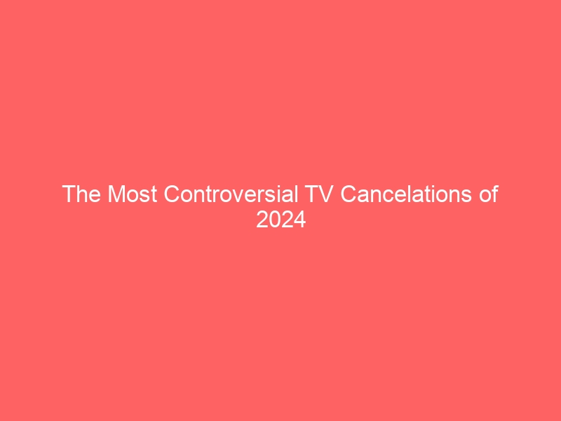 The Most Controversial TV Cancelations of 2024