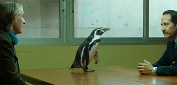 Another Cute Teaser for ‘The Penguin Lessons’ Film with Steve Coogan