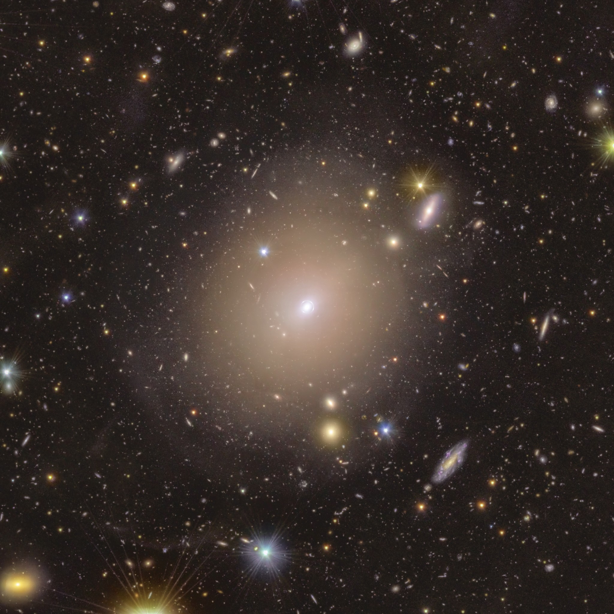 Euclid Discovers Einstein Ring in Our Cosmic Backyard