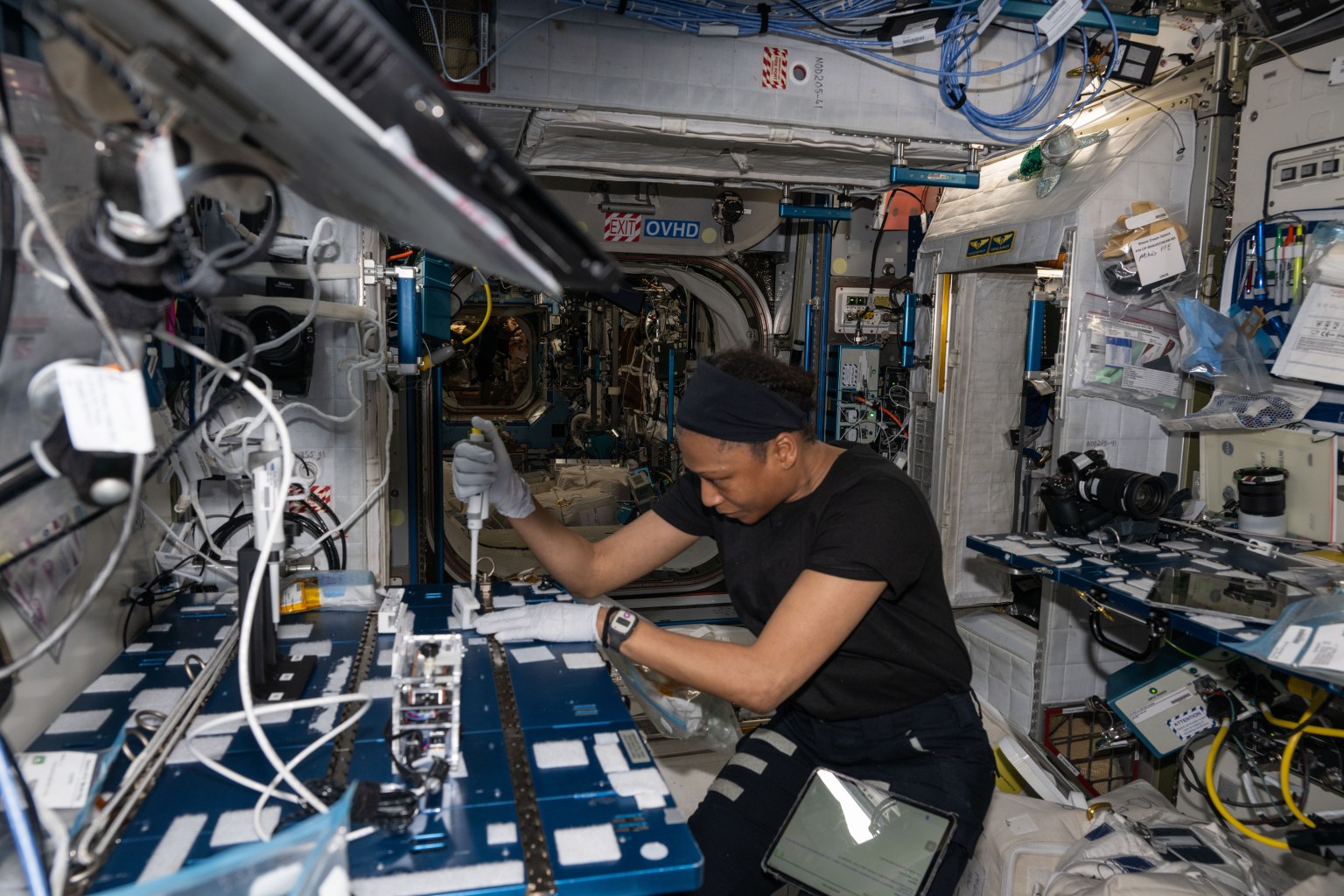 Science in Orbit: Results Published on Space Station Research in 2024